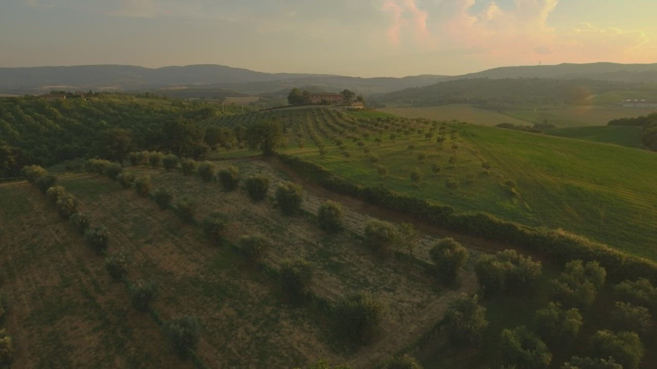 Aerial view of a country estate among olive groves at sunset